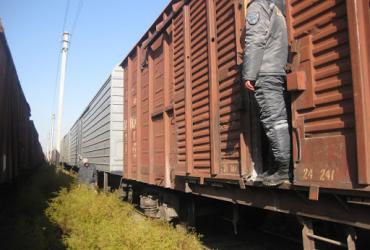 розыск