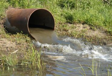 водоем, фото из открытых источников