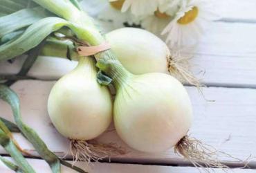 лук