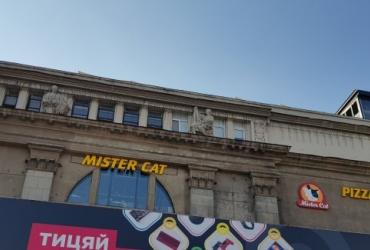 Стрельба