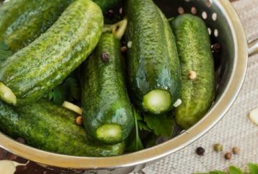 Сухая засолка огурцов: простой рецепт вкусной закуски