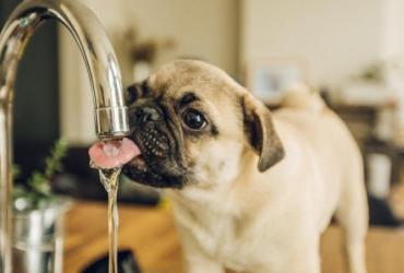 Отключение воды