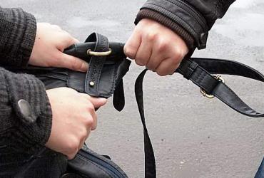 Отобрал сумку