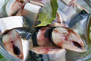 Вкусная маринованная скумбрия: простой рецепт