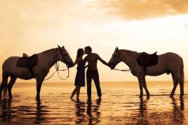 любовь лошади
