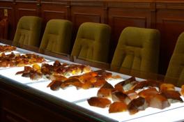 В Украине состоялся первый аукцион по продаже янтаря