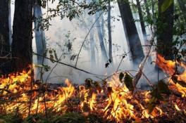 Пожарная опасность в Днепропетровской области