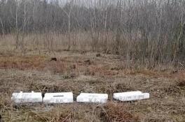 Житель Днепра попался на выбросе мусора в лесополосе
