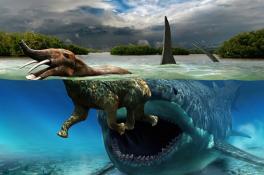 Женщина на прогулке нашла зуб древнего подводного гиганта