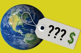 Сколько стоит планета Земля - ответ ученого