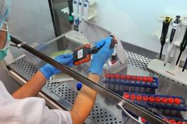 В Украину привезут експерес-тесты для выявления коронавируса дома