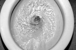 Почему в американских туалетах не бывает ершиков