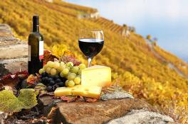 Как отличить натуральное вино от подделки