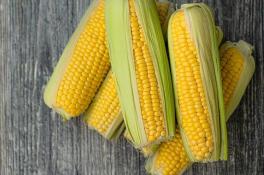 Как быстро и очень вкусно сварить кукурузу: вы удивитесь