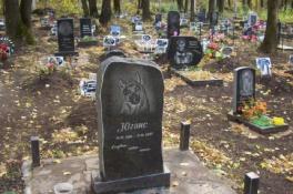 В Днепре на Красном Камне разрастается стихийное кладбище домашних животных