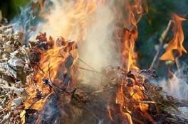 На Днепропетровщине пенсионерка жгла траву и сгорела в костре 