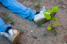 На Днепропетровщине возле железной дороги нашли скелетированный труп