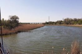 На расчистку реки Саксагань в Кривом Роге потратят 282 миллиона