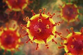 В Днепре значительно возросло количество заболевших коронавирусом