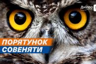 о