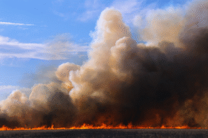 пожар в поле