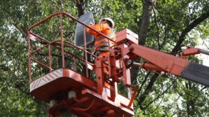 комунальники Дніпра встановлюють зовнішнє освітлення
