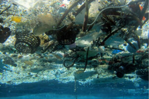 1006825_1_1005-ocean-trash_standard