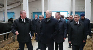 Лукашенко после посещения коровника уволил чиновников