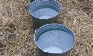ведра с водой