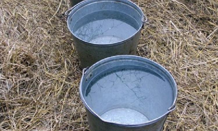 ведра с водой