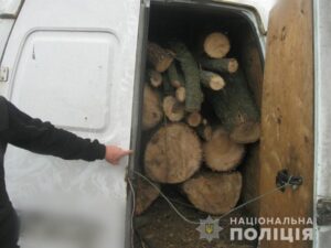 фото полиции