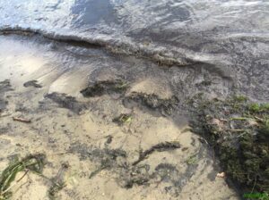 вода в днепре