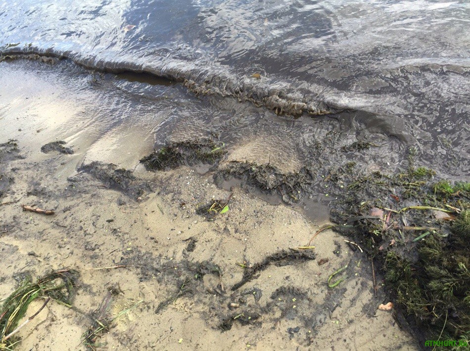 вода в днепре