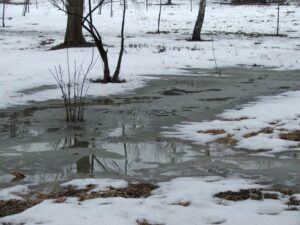 1236158474_march_dscf5061