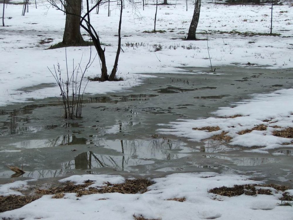 1236158474_march_dscf5061