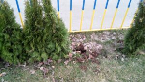 12823304_618847564933492_3469638921592414122_o