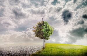 Жизненная энергия