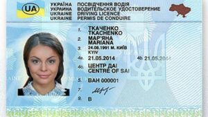 Названа стоимость восстановления водительских прав онлайн