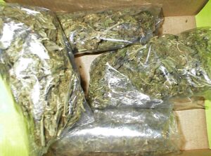 1348139939_marihuana-1