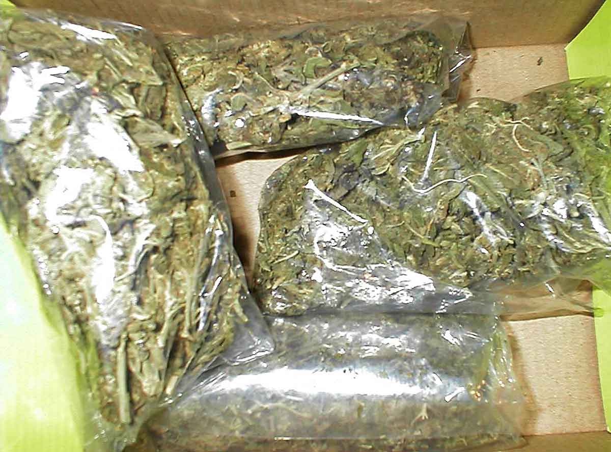 1348139939_marihuana-1