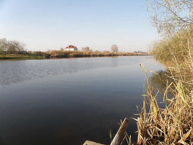 курячее озеро