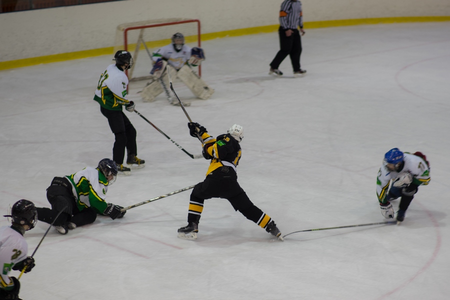 В чемпионате НХЛ вратарь избил форварда