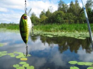 поймали рыбаков-браконьеров