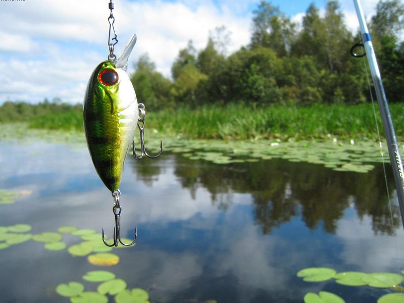 поймали рыбаков-браконьеров