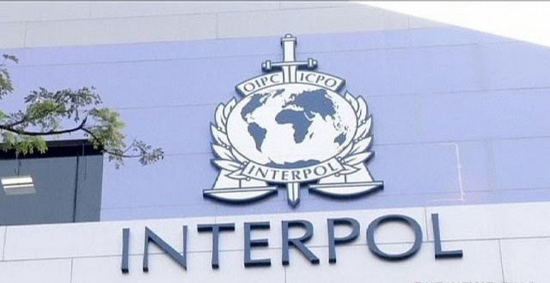 интерпол