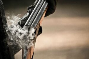 дробь выстрел