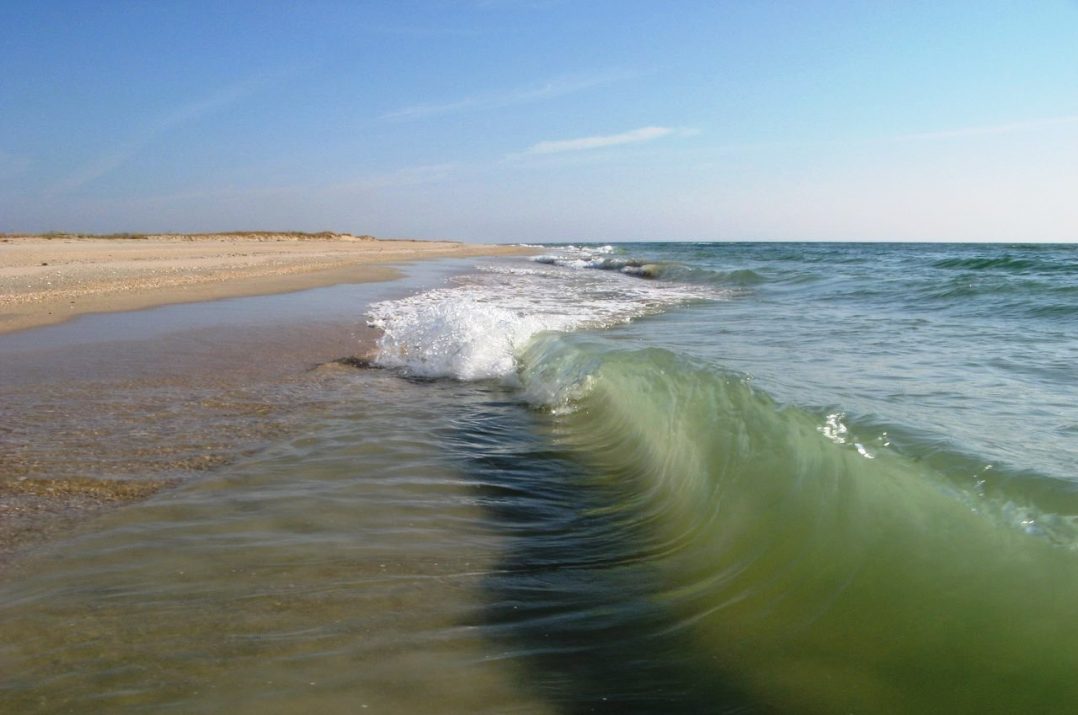 море