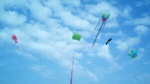 Воздушные змеи