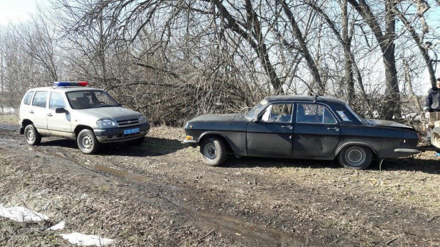 фото УПД ГУНП, вырубка леса