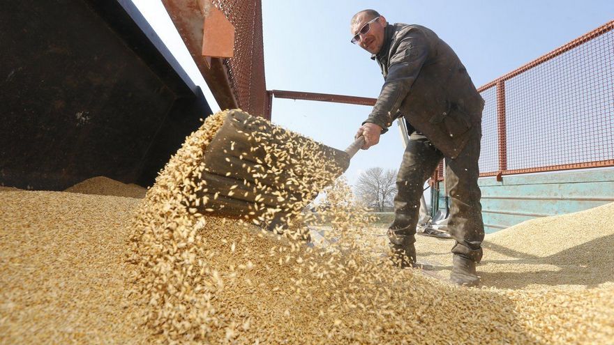 урожай зерновых